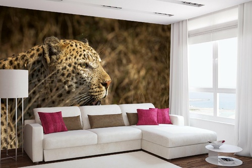 Vlies Fototapete - Leopard auf der Jagd 375 x 250 cm